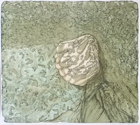 Historia naturalna VII, edycja 6/12