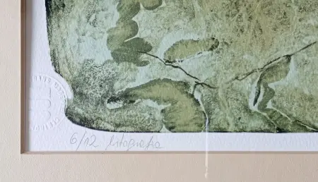 Historia naturalna VII, edycja 6/12