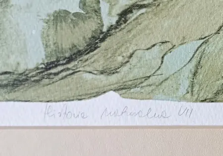 Historia naturalna VII, edycja 6/12