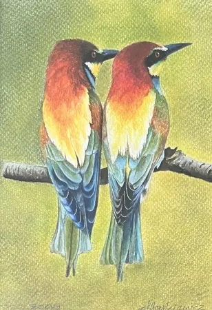 Żołny 