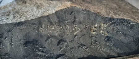 Jadę po śnieg II