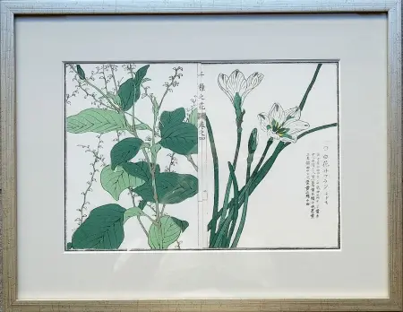 Rdestowiec japoński i narcyz