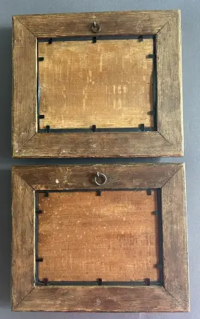 A.N.Indyki, Gołębie