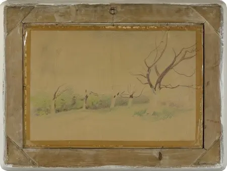 Chałupy wśród kwitnących drzew