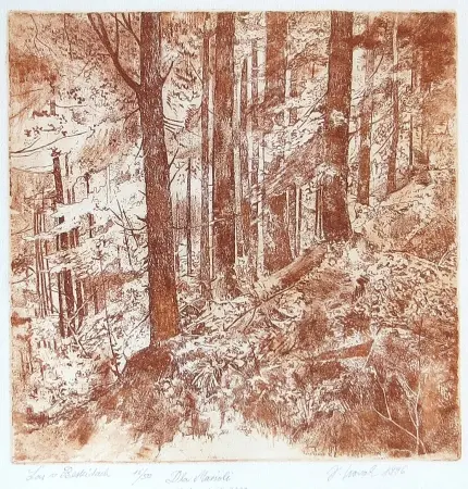 Las w Beskidach, 1996