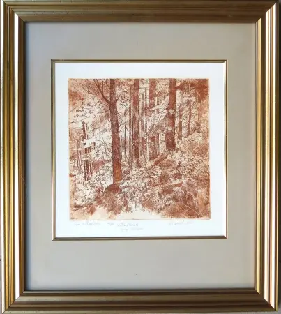 Las w Beskidach, 1996