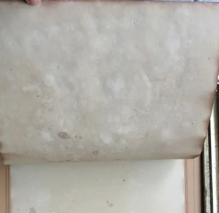 Portret dziewczynki z wiankiem, ok. 1850