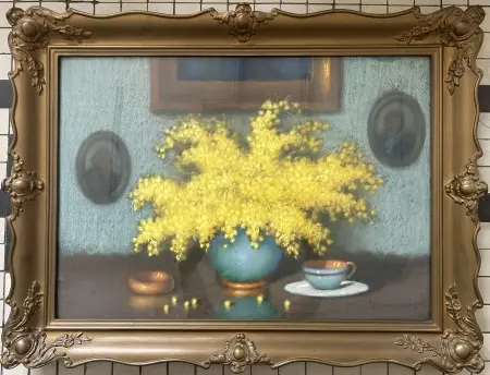 Mimozy