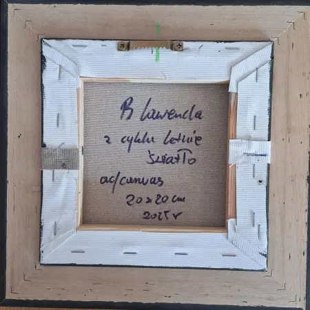 Z cyklu: Letnie Światło 