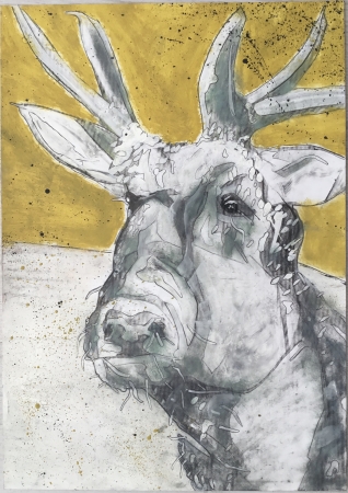 Animalistyka - Krowa Holenderska