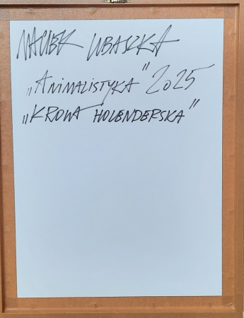 Animalistyka - Krowa Holenderska