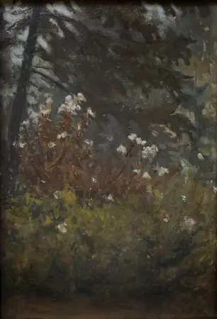 Wnętrze lasu 