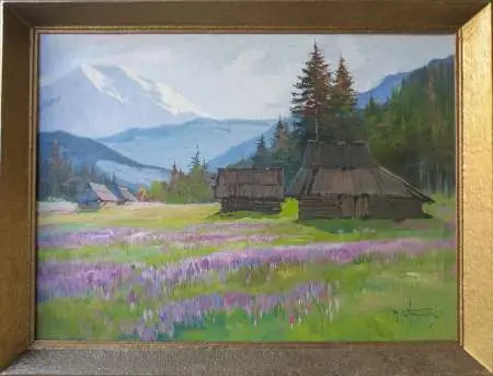 Krokusy na polanie tatrzańskiej