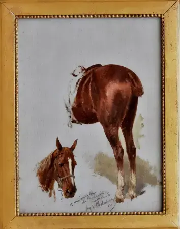 Studium głowy i zadu końskiego, 1920