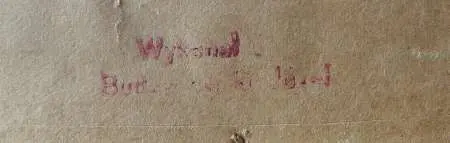 Widok z pałacu Łazienkowskiego w Warszawie