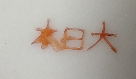 Filiżanka do mokki Satsuma, Japonia, ok poł. XX w.