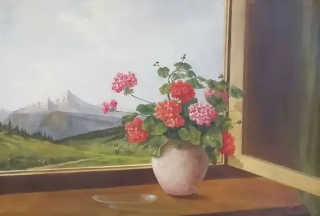 Pelargonie na parapecie