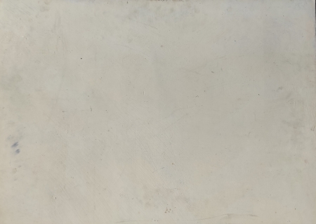 Białe róże w wazonie