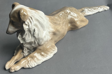 Leżący collie
