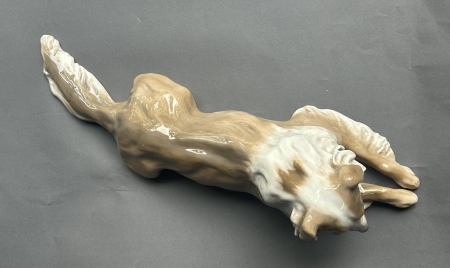 Leżący collie