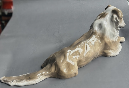 Leżący collie