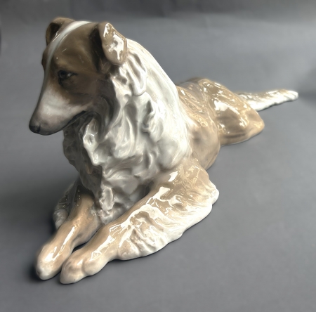 Leżący collie