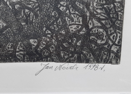 Rajska Jabłoń edycja 28/30