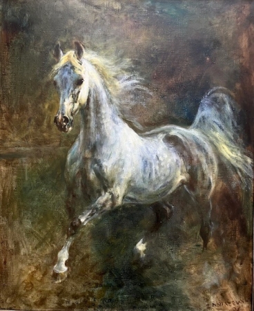  BIAŁY KOŃ  