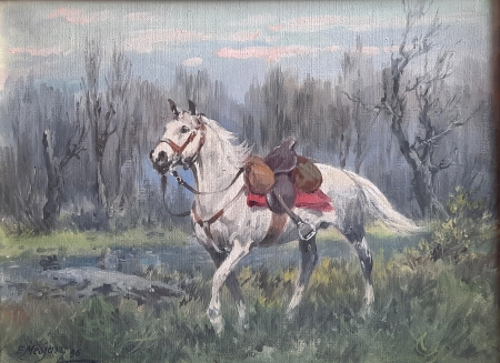 Na mokradłach 1996 rok