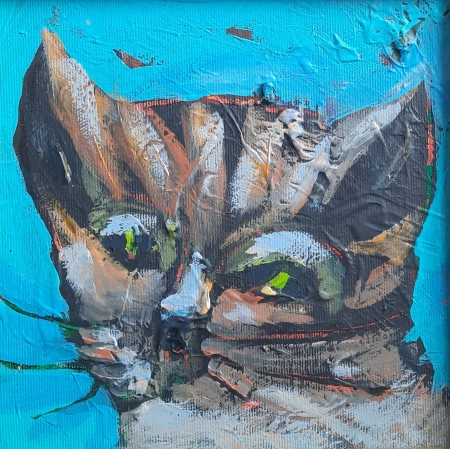 Kotek