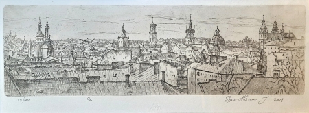 Wielka Panorama Lwowa 2014 r.
